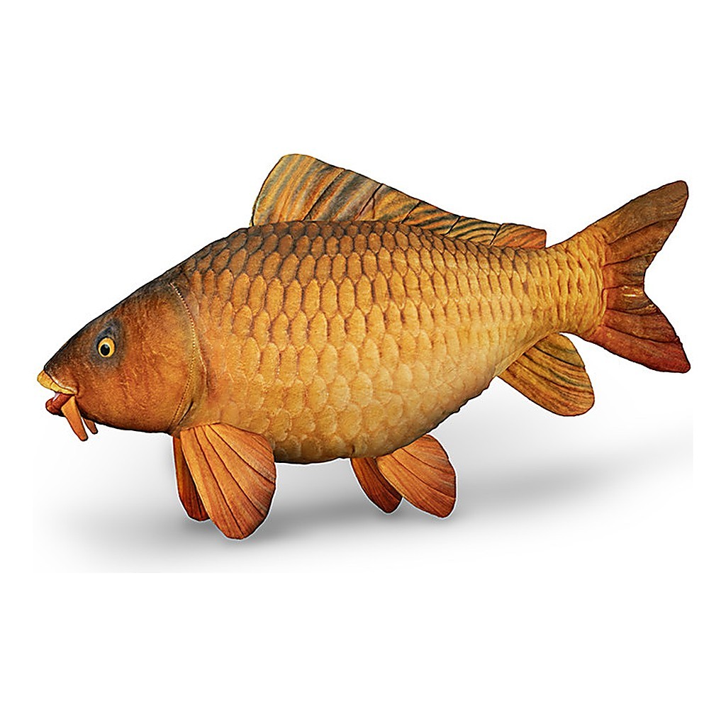 Delphin Plush Carp - 60 cm i gruppen Annen / Leketøysfisker Og Trofefisker hos Sportfiskeprylar.se (101006075)