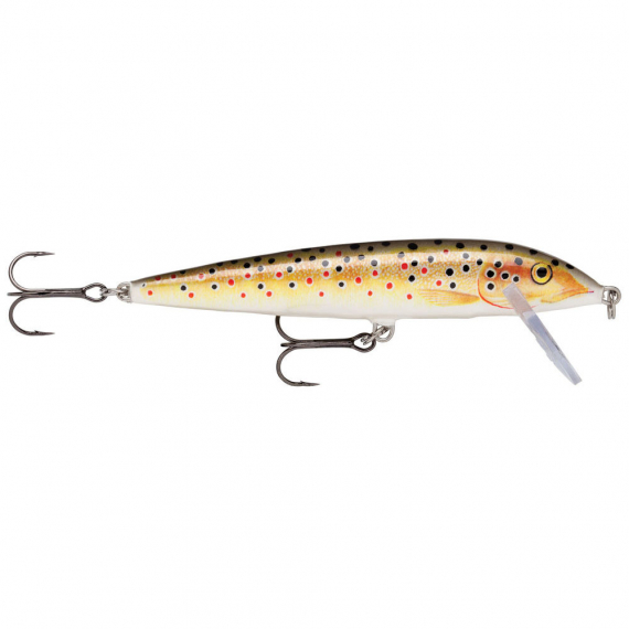 Rapala Sinking CD 11cm TR i gruppen Sluker / Crankbaits / Gruntgående Crankbaits hos Sportfiskeprylar.se (101154NO)