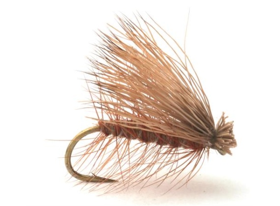 Guideline Elk Caddis Brown i gruppen Sluker / Fluer / Tørrflue hos Sportfiskeprylar.se (101177GLr)