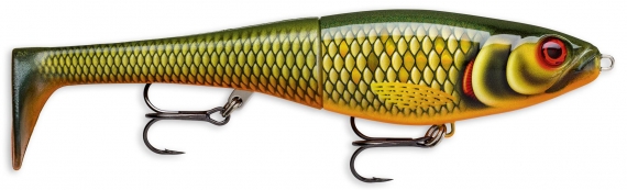 Rapala X-Rap Peto 20cm - SCRR i gruppen Sluker / Tailbaits Og Hybrid Baits hos Sportfiskeprylar.se (101206NO)