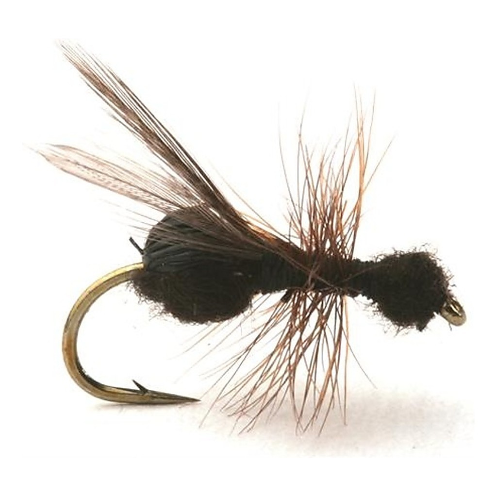 Guideline Flying Ant / Myra Black # 12 i gruppen Sluker / Fluer / Tørrflue hos Sportfiskeprylar.se (101213GL)
