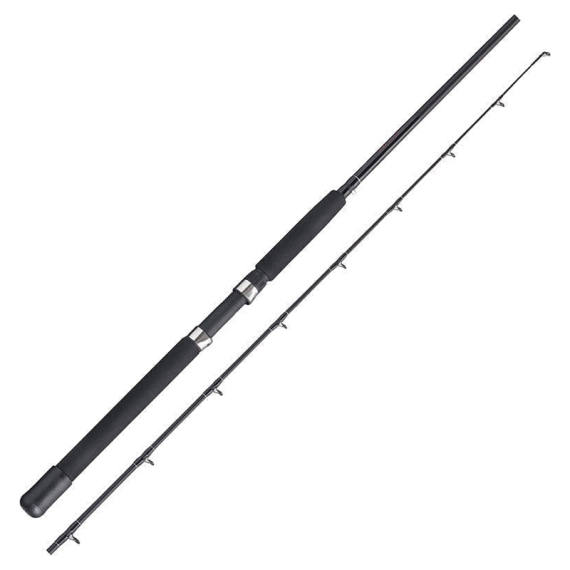 Fladen Xtra-Flexx Downrigger 210cm i gruppen Stenger / Havfiskestenger / Havfiskestenger hos Sportfiskeprylar.se (12-80210)