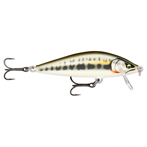 Rapala CountDown Elite 5,5cm - GDMN i gruppen Sluker / Crankbaits / Gruntgående Crankbaits hos Sportfiskeprylar.se (126556NO)