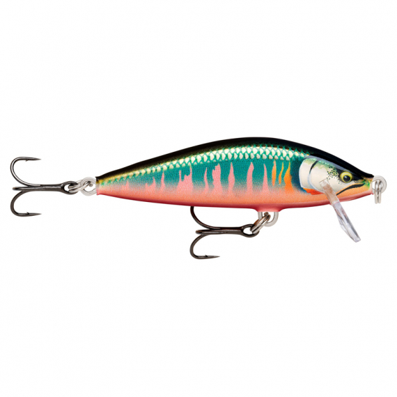 Rapala CountDown Elite 5,5cm - GDOK i gruppen Sluker / Crankbaits / Gruntgående Crankbaits hos Sportfiskeprylar.se (126557NO)