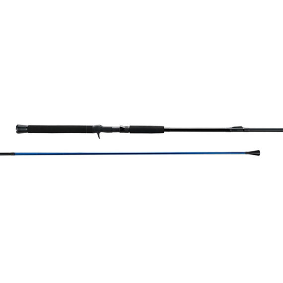 Okuma Sabiki Pro Cast 7\'3\'\' 220cm 10-20lb 1+1sec i gruppen Stenger / Havfiskestenger / Havfiskestenger hos Sportfiskeprylar.se (153570NO)