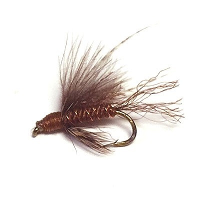 CDC Caddis Emerger Brown # 16 i gruppen Sluker / Fluer / Tørrflue hos Sportfiskeprylar.se (16058-BRWN-16)