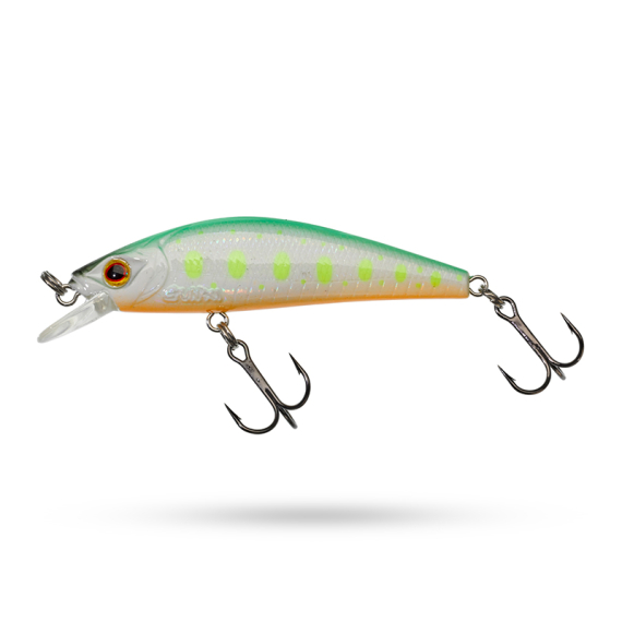 Gunki Gamera 63 HW i gruppen Sluker / Crankbaits / Gruntgående Crankbaits hos Sportfiskeprylar.se (29-50419r)