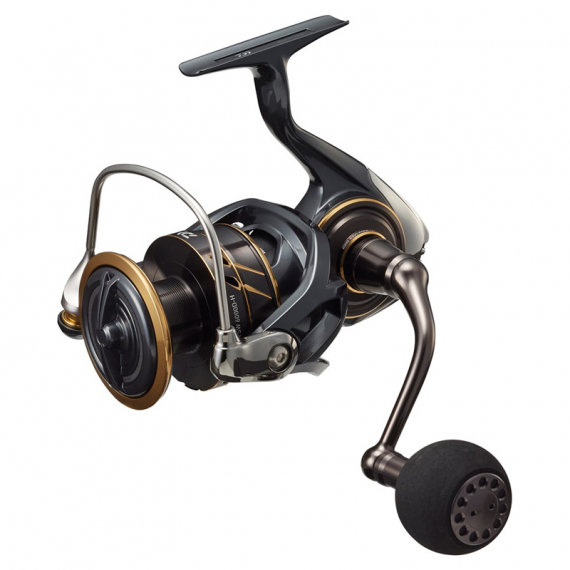Daiwa 22 Caldia SW i gruppen Sneller / Havfiskesneller hos Sportfiskeprylar.se (32-220488r)