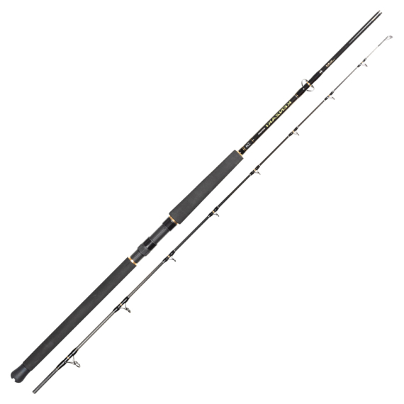 Daiwa Super Kenzaki Spin i gruppen Stenger / Havfiskestenger / Havfiskestenger hos Sportfiskeprylar.se (32-222529r)