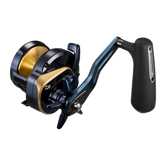 Daiwa 25 Saltiga (G) i gruppen Sneller / Havfiskesneller hos Sportfiskeprylar.se (32-224504r)