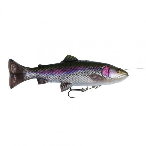 Savage Gear 4D Line Thru Pulsetail Trout 20cm 102g SS Rainbow Trout i gruppen Sluker / Swimbaits / Soft Swimbaits hos Sportfiskeprylar.se (61979)