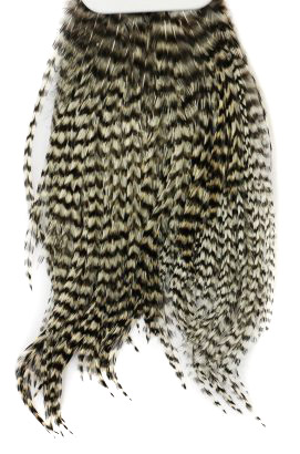 Whiting Bugger Pack i gruppen Kroker Og Terminal Takkel / Flue Binding / Fluebindingsmateriale / Fjær Og Nakke / Hakkel Og Nakker hos Sportfiskeprylar.se (91871734r)