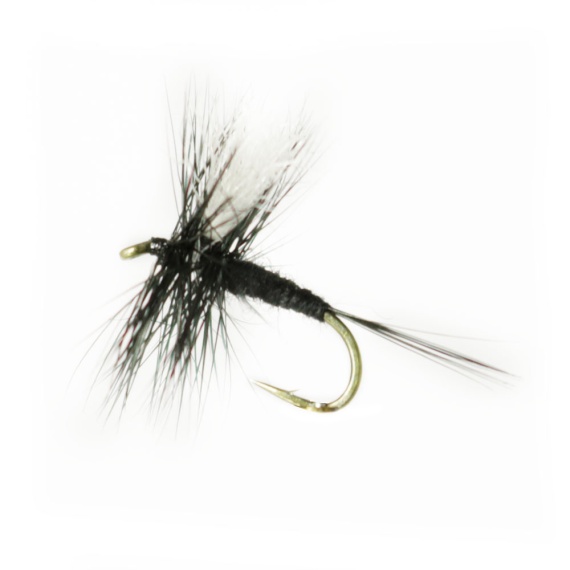 Black Gnat # 16 i gruppen Sluker / Fluer / Tørrflue hos Sportfiskeprylar.se (F30-1035-16)