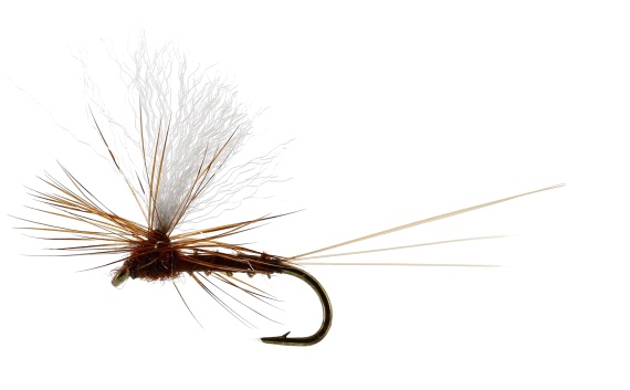 Vespertina Dun Biot Brown TMC100 i gruppen Fiskemetoder / Fluefiske / Fluer / Tørrflue hos Sportfiskeprylar.se (FL32115r)