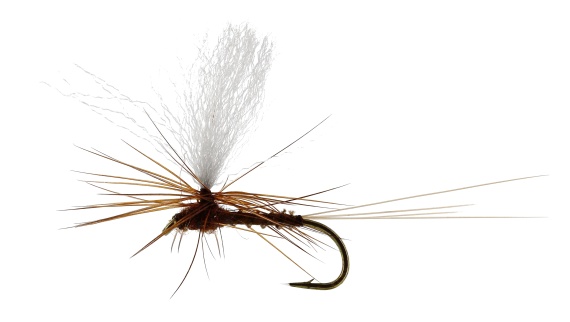 Marginata Dun Biot Brown TMC100 i gruppen Sluker / Fluer / Tørrflue hos Sportfiskeprylar.se (FL32130r)