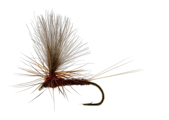 Vespertina Dun Brown TMC100 i gruppen Fiskemetoder / Fluefiske / Fluer / Tørrflue hos Sportfiskeprylar.se (FL32170r)