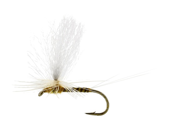 Sulphurea Dun Quill Yellow TMC100 i gruppen Fiskemetoder / Fluefiske / Fluer / Tørrflue hos Sportfiskeprylar.se (FL32200r)