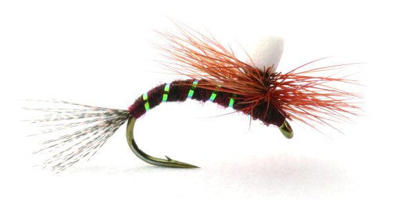 Ephemerella Klekker i gruppen Sluker / Fluer / Tørrflue hos Sportfiskeprylar.se (GL46169r)