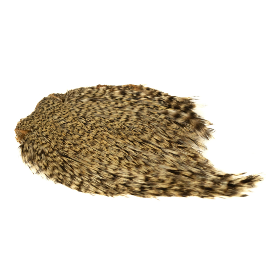 Indisk tuppnacke - Grizzly i gruppen Kroker Og Terminal Takkel / Flue Binding / Fluebindingsmateriale / Fjær Og Nakke / Hakkel Og Nakker hos Sportfiskeprylar.se (GN11-12)