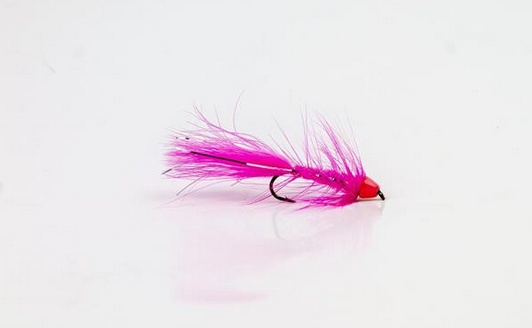 Wolly Bugger Cone Pink size 8 i gruppen Sluker / Fluer / Streamere hos Sportfiskeprylar.se (HF1227-8)