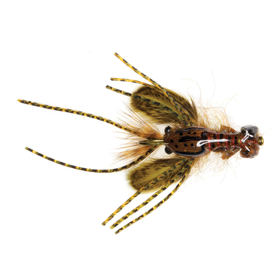 Umpqua Creek Crawler Olive #4 Hada\'s i gruppen hos Sportfiskeprylar.se (NFD9656-OL4)