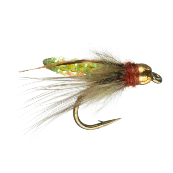 Umpqua Pupa BH Olive i gruppen hos Sportfiskeprylar.se (NFD9753-OL14r)