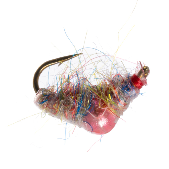 Umpqua Scud Bomb Mylant Rainbow i gruppen Sluker / Fluer / Nymfer hos Sportfiskeprylar.se (NFD9832-Rainbow12r)