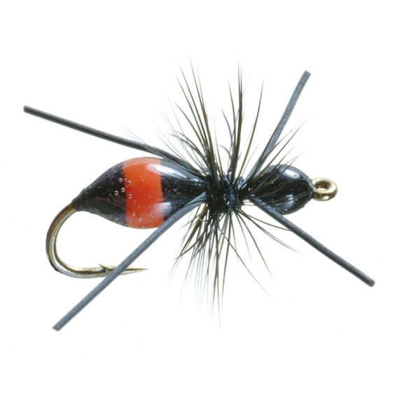 Umpqua Attract-Ant Black/Red - #16 i gruppen Sluker / Fluer / Tørrflue hos Sportfiskeprylar.se (NFD9861-16)