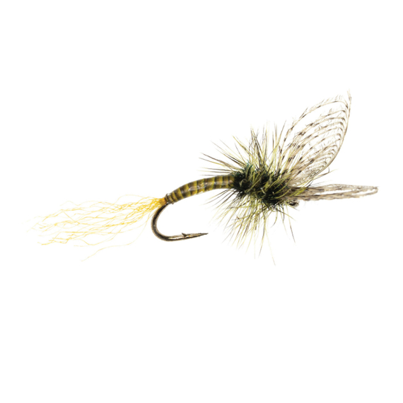 Umpqua Maldos PMD Emerger Maldonado i gruppen Sluker / Fluer / Tørrflue hos Sportfiskeprylar.se (NFD9870-16r)