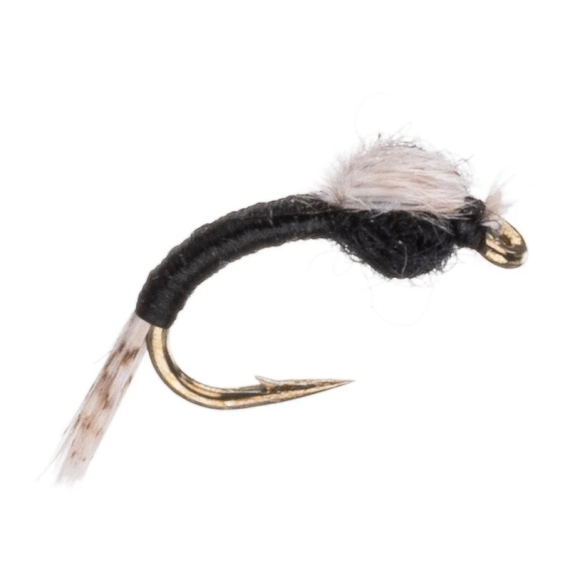 Umpqua WD 40 Black i gruppen Sluker / Fluer / Nymfer hos Sportfiskeprylar.se (NFD9877-Black18r)