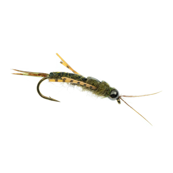 Umpqua Skwala Stone Tungsten Olive i gruppen Sluker / Fluer / Våtfluer hos Sportfiskeprylar.se (NFD9886-8r)