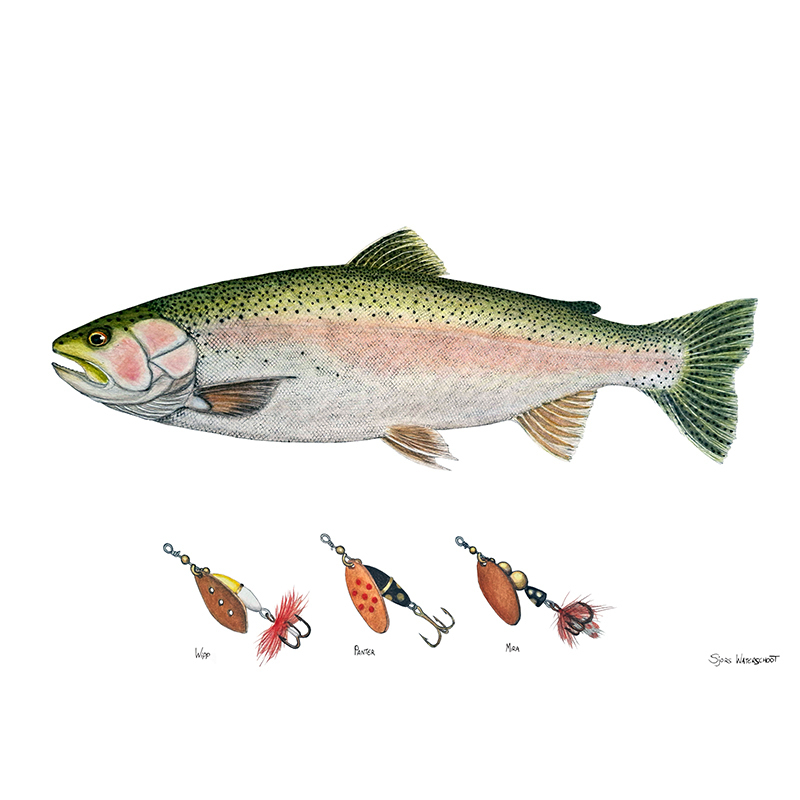 Myran Framed Rainbow Poster i gruppen hos Sportfiskeprylar.se (NFS50-7)