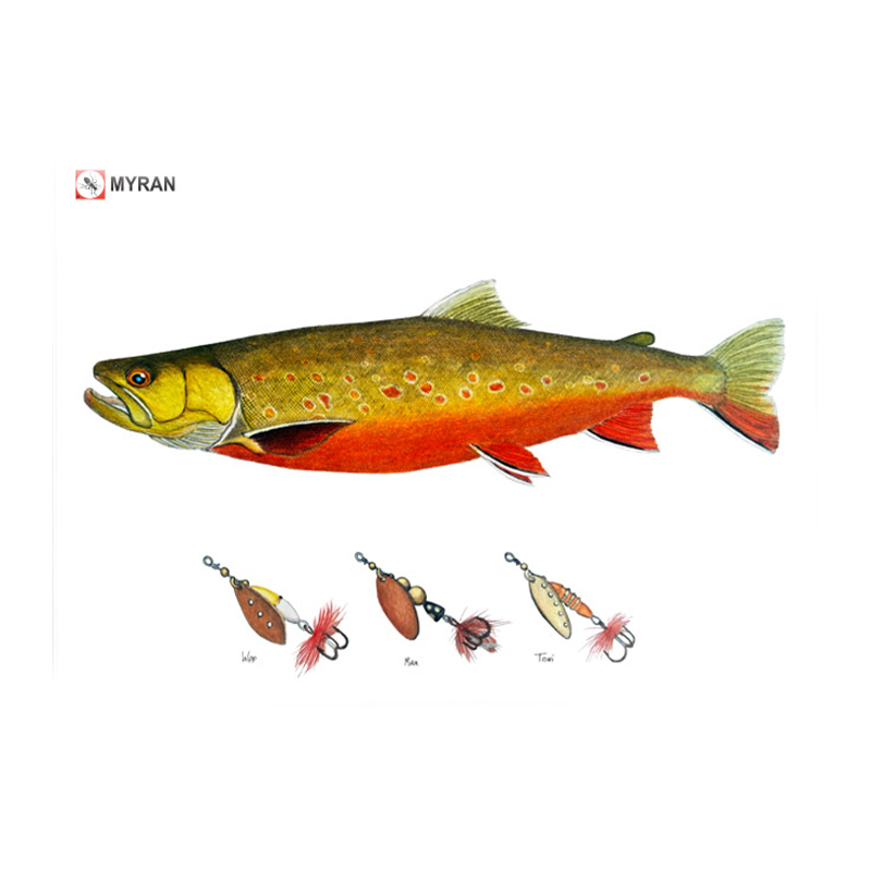 Myran Framed Arctic Char Poster i gruppen hos Sportfiskeprylar.se (NFS50-8)