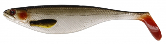 Westin ShadTeez 16cm 39g Lively Roach (bulk) i gruppen Sluker / Softbaits / Gjedde Softbaits hos Sportfiskeprylar.se (P021-136-026)