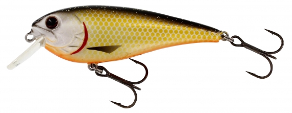 Westin RawBite 7 cm 12 g Floating Official Roach i gruppen Sluker / Crankbaits / Gruntgående Crankbaits hos Sportfiskeprylar.se (P048-155-005)