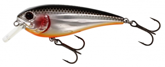 Westin RawBite 7 cm 12 g Floating Steel Sardine i gruppen Sluker / Crankbaits / Gruntgående Crankbaits hos Sportfiskeprylar.se (P048-221-005)