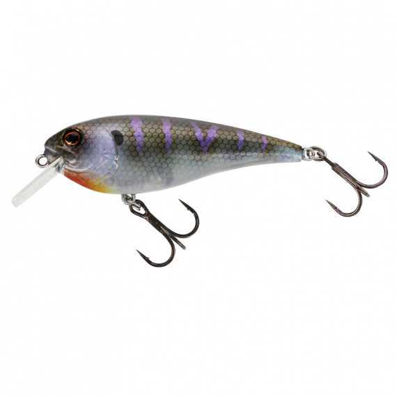 Westin RawBite 17cm 100g Low Floating i gruppen Sluker / Crankbaits hos Sportfiskeprylar.se (P104-023-150r)