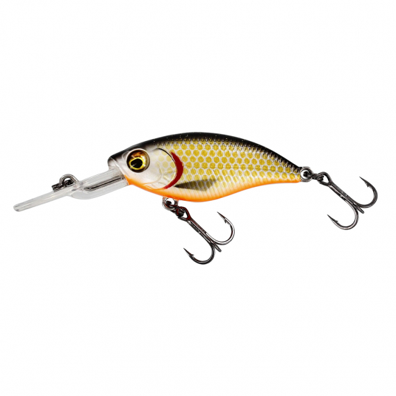 BuzzBite Crankbait 6cm 10g Suspending Official Roach i gruppen Sluker / Crankbaits / Dyptgående Crankbait hos Sportfiskeprylar.se (P145-155-148)