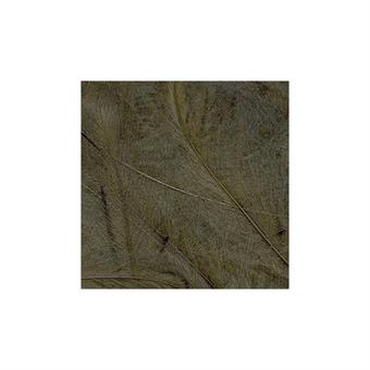 CDC Feathers 1 gr - Bistre i gruppen Kroker Og Terminal Takkel / Flue Binding / Fluebindingsmateriale / Fjær Og Nakke / Cdc hos Sportfiskeprylar.se (PE-1GR16)