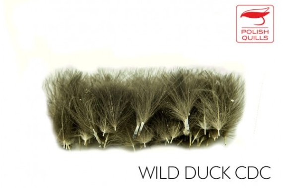 Polish Quill Wild Duck CDC i gruppen Kroker Og Terminal Takkel / Flue Binding / Fluebindingsmateriale / Fjær Og Nakke / Andre Typer Fjær hos Sportfiskeprylar.se (PQ-WDCDC)