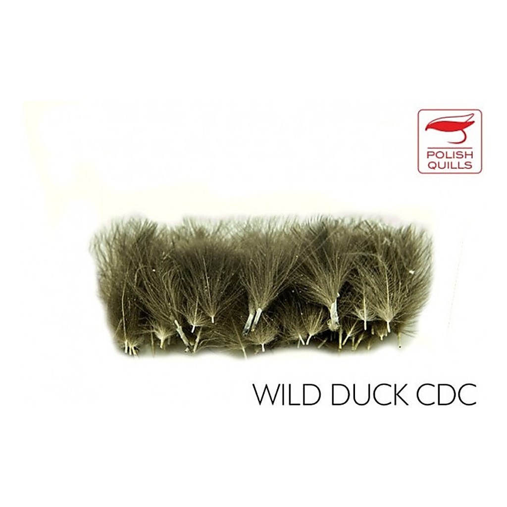 Polish Quill Wild Duck CDC i gruppen Kroker Og Terminal Takkel / Flue Binding / Fluebindingsmateriale / Fjær Og Nakke / Andre Typer Fjær hos Sportfiskeprylar.se (PQ-WDCDC)