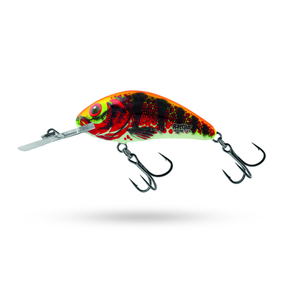 Salmo Rattlin\' Hornet 5.5cm - Holo Red Perch i gruppen Sluker / Crankbaits / Dyptgående Crankbait hos Sportfiskeprylar.se (QRH517)