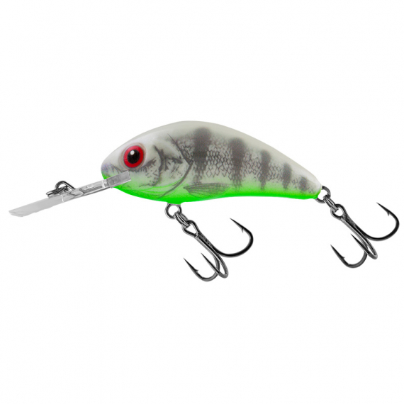 Salmo Rattlin\' Hornet 5.5cm - Ghost Perch i gruppen Sluker / Crankbaits / Dyptgående Crankbait hos Sportfiskeprylar.se (QRH518)