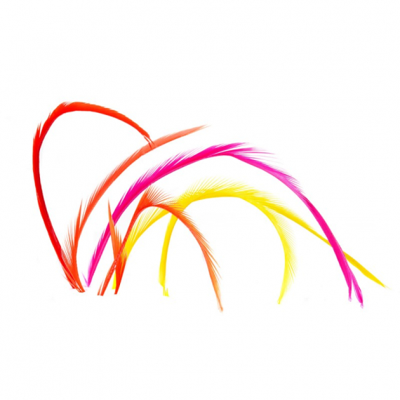 Goosebiots i gruppen Kroker Og Terminal Takkel / Flue Binding / Fluebindingsmateriale / Fjær Og Nakke / Hackle hos Sportfiskeprylar.se (V5048r)