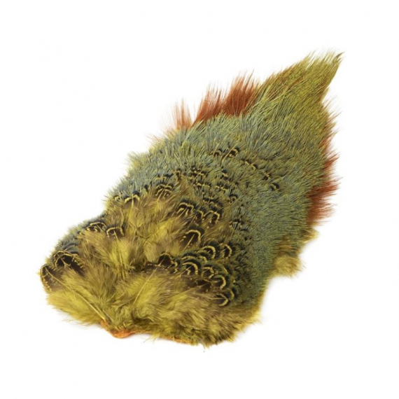 Ringneck Rump Patch i gruppen Kroker Og Terminal Takkel / Flue Binding / Fluebindingsmateriale / Fjær Og Nakke / Hakkel Og Nakker hos Sportfiskeprylar.se (W-PSR010r)