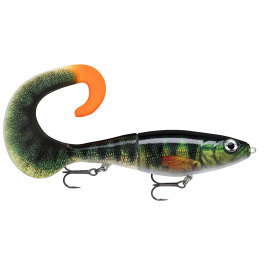 Live Perch (PEL)