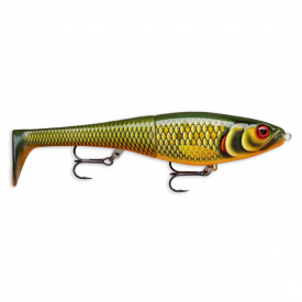 Scaled Roach (SCRR)