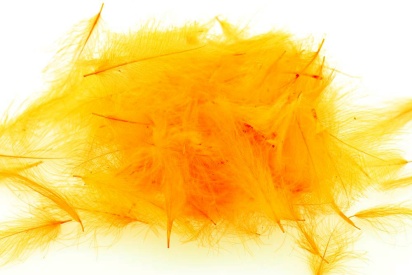 Gold Yellow