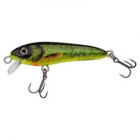 Real Hot Pike