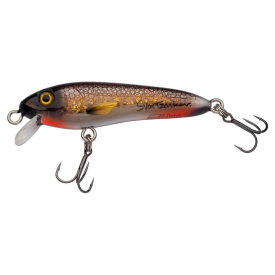 Crucian Carp